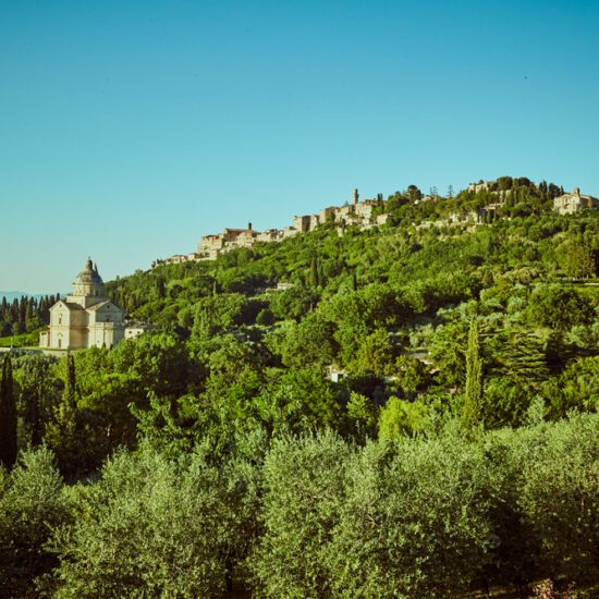 territorio-montepulciano